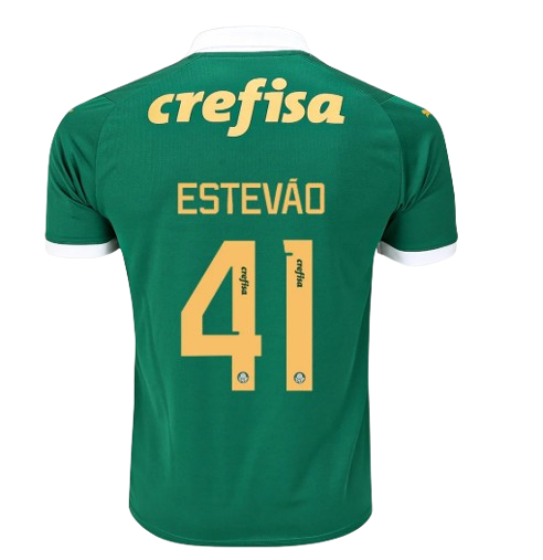 CAMISETA PALMEIRAS I 24/25 HOMBRE